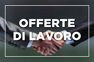offerte lavoro